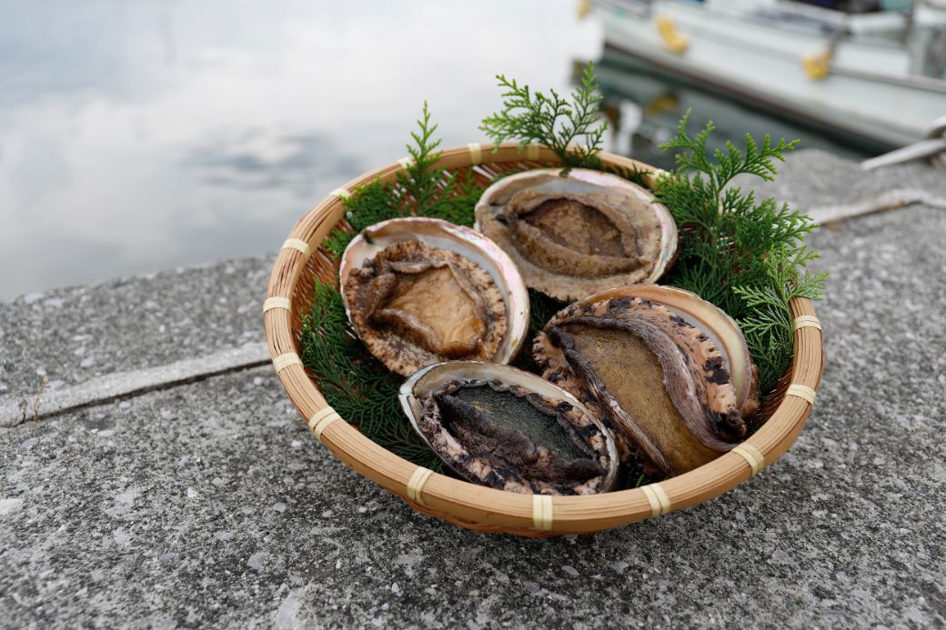 【数量限定】佐田岬海士の黒赤あわび【4/15～10/25の漁解禁日に合わせて発送】※北海道・東北地方・沖縄・離島への配送不可 IKTJ014