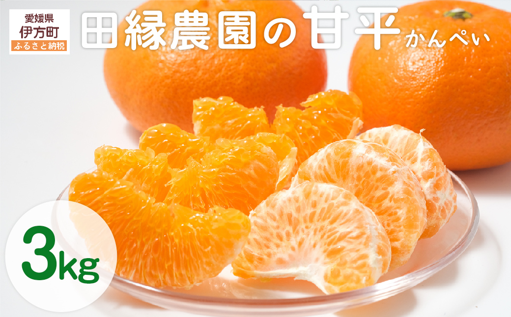 【先行予約】【数量限定】田縁農園の甘平（かんぺい）3kg ※離島への配送不可 （2026年1月25日より順次発送）  IKTA016