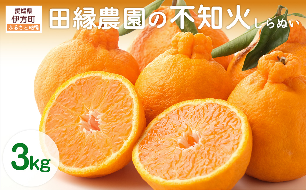 【先行予約】【数量限定】田縁農園の不知火（しらぬい）3kg ※離島への配送不可 （2026年2月10日より順次発送）  IKTA018