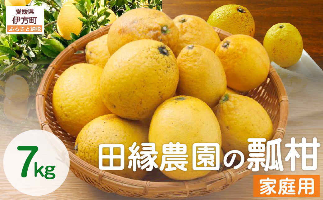 【数量限定】家庭用 瓢柑(7kg) 訳あり ※北海道・沖縄・離島への配送不可 （2026年4月1日より順次発送）  IKTA021
