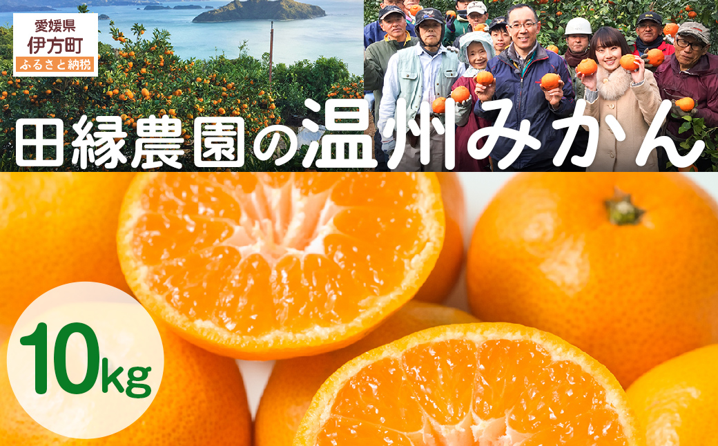 【先行予約】【数量限定】田縁農園の温州みかん（生果）10kg ※離島への配送不可 （2025年11月10日より順次発送）  IKTA025