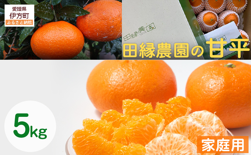 【先行予約】【家庭用】甘平 5kg ※離島への配送不可 （2026年1月25日より順次発送） IKTA031