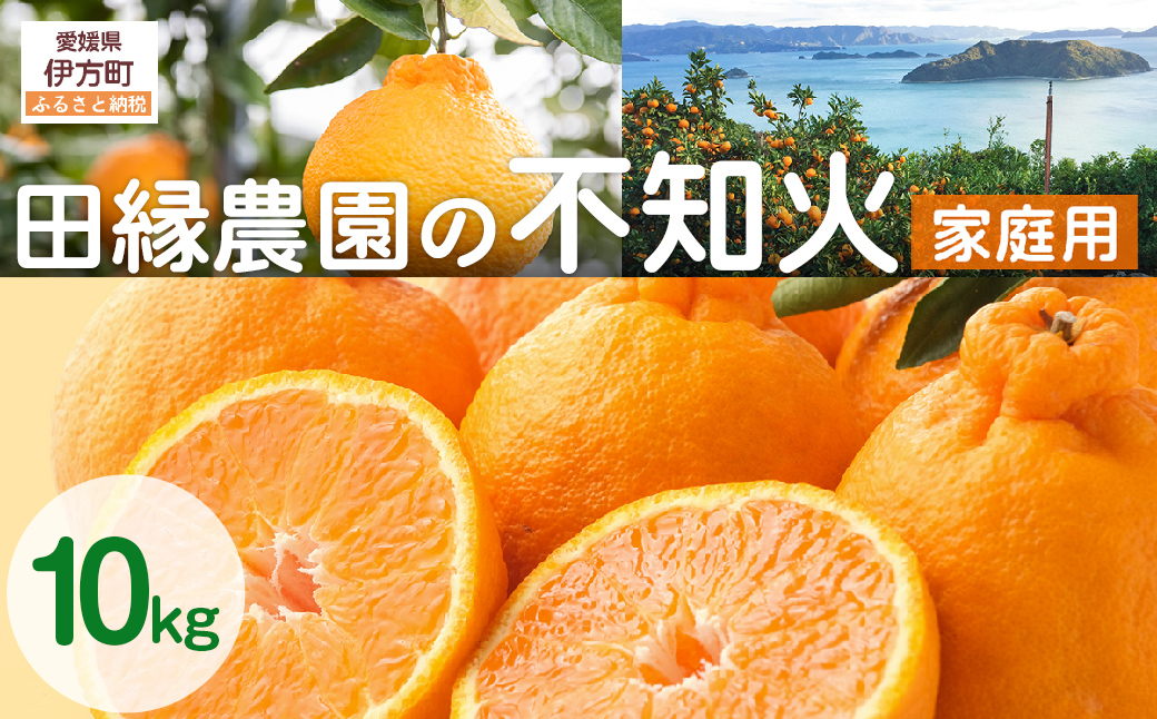 【先行予約】【家庭用】不知火 10kg ※離島への配送不可 （2026年2月10日より順次発送）  IKTA036