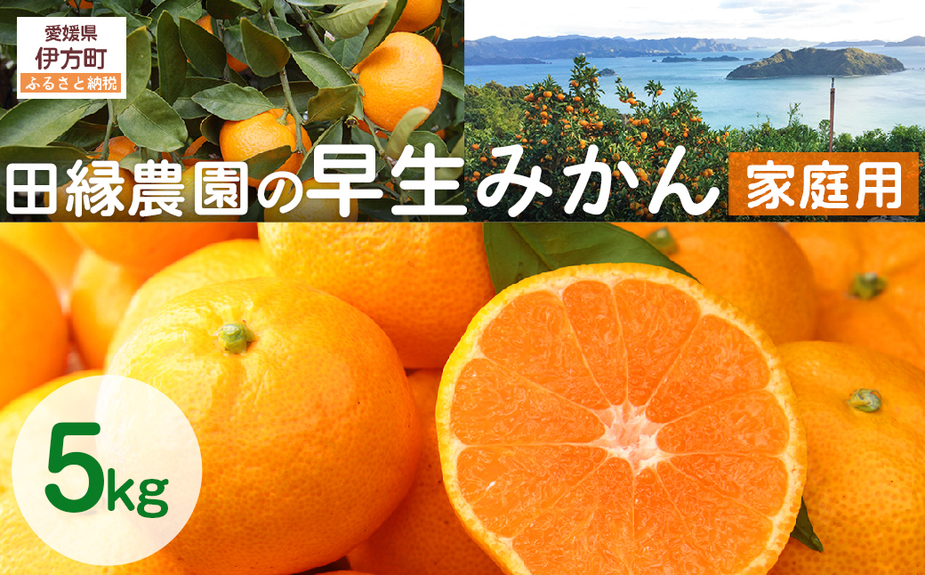 【先行予約】【家庭用】早生みかん 5kg ※離島への配送不可 （2025年11月10日より順次発送）  IKTA040