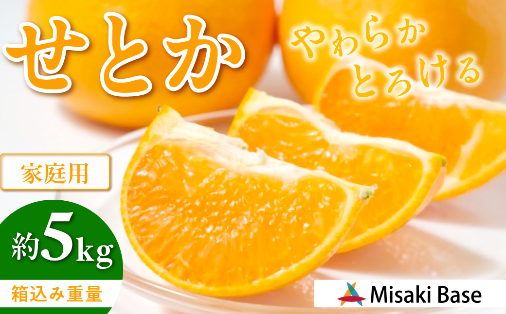 【先行予約】【家庭用】せとか 約5kg ※離島への配送不可（2026年3月より順次発送） IKTAB001