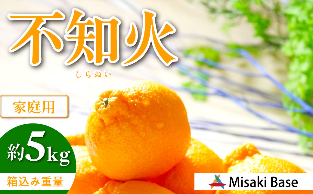 【先行受付】【家庭用】不知火（しらぬい） 5kg ※離島への配送不可（2026年2月中旬より順次発送） IKTAB003