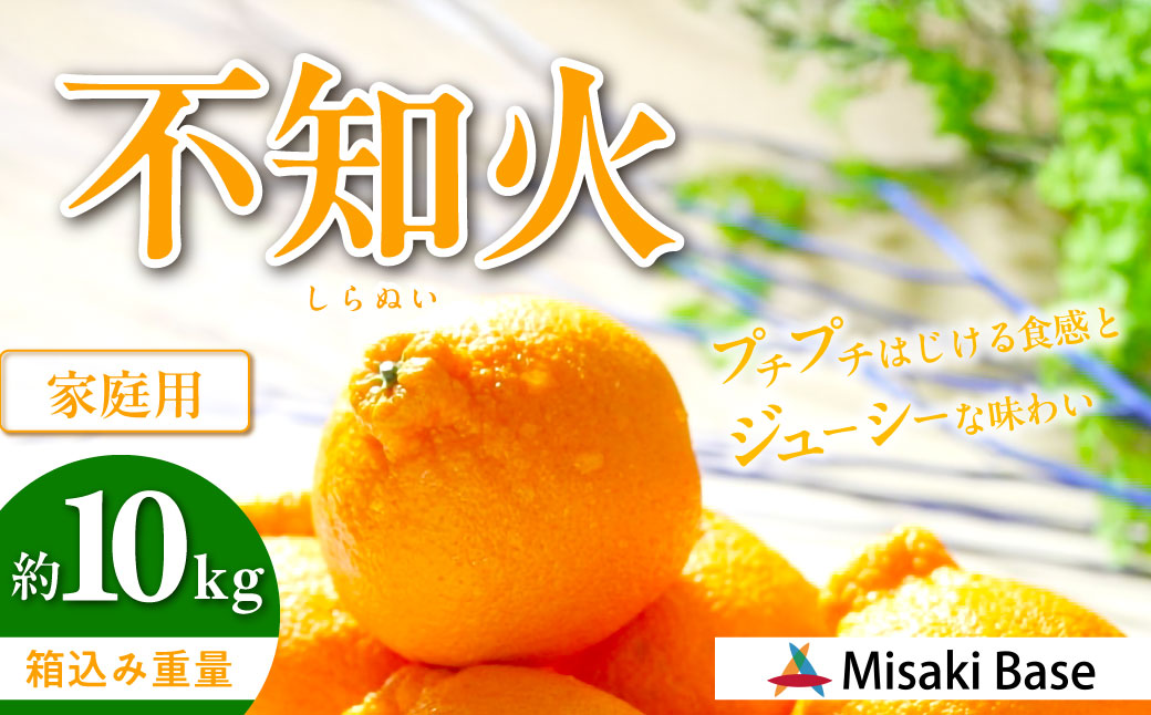 【先行受付】【家庭用】不知火（しらぬい） 10kg ※離島への配送不可 （2026年2月中旬より順次発送） IKTAB004