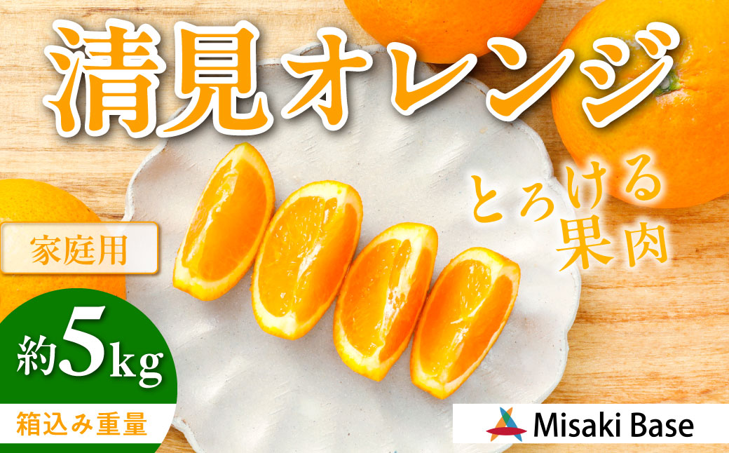 【先行受付】【※超訳あり】清見オレンジ 5kg ※離島への配送不可 （2026年3月中旬より順次発送） IKTAB009