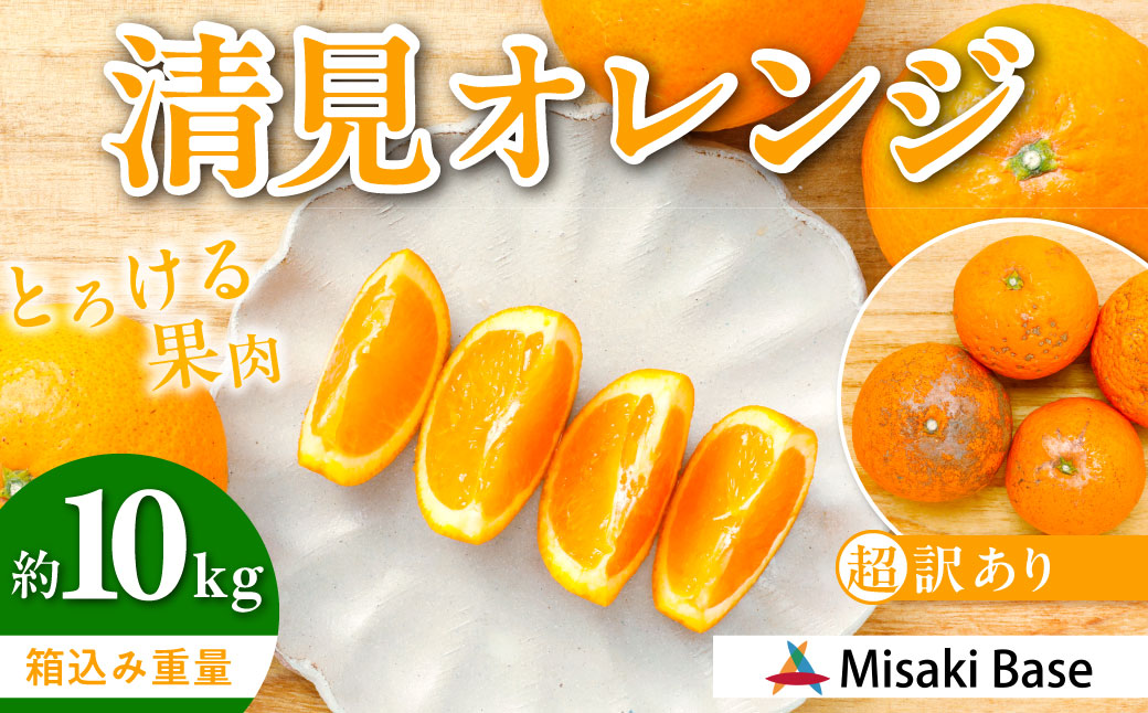 【先行受付】【※超訳あり】清見オレンジ 10kg ※離島への配送不可（2026年3月中旬より順次発送） IKTAB010