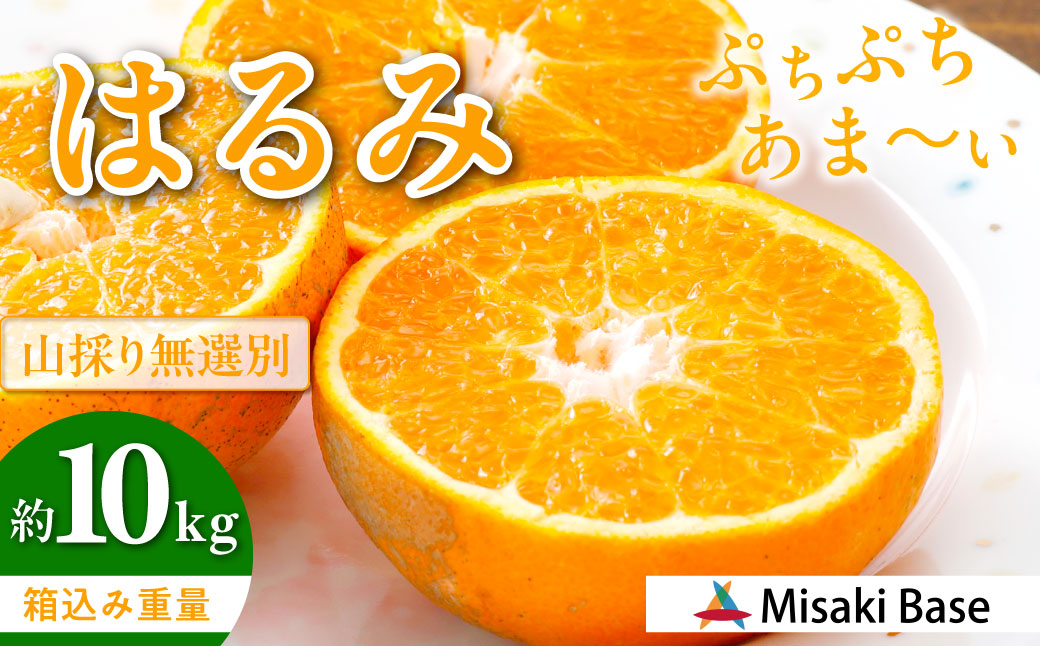 【先行受付】【数量限定】【山採り無選別】はるみ 10kg ※離島への配送不可（2026年2月より順次発送） IKTAB012