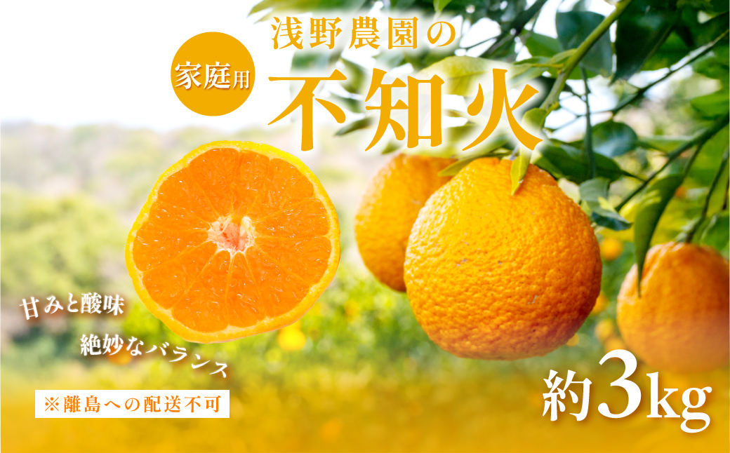 【先行予約】【家庭用】不知火 約3kg ※離島への配送不可（2026年2月中旬頃より順次発送予定） IKTAC003