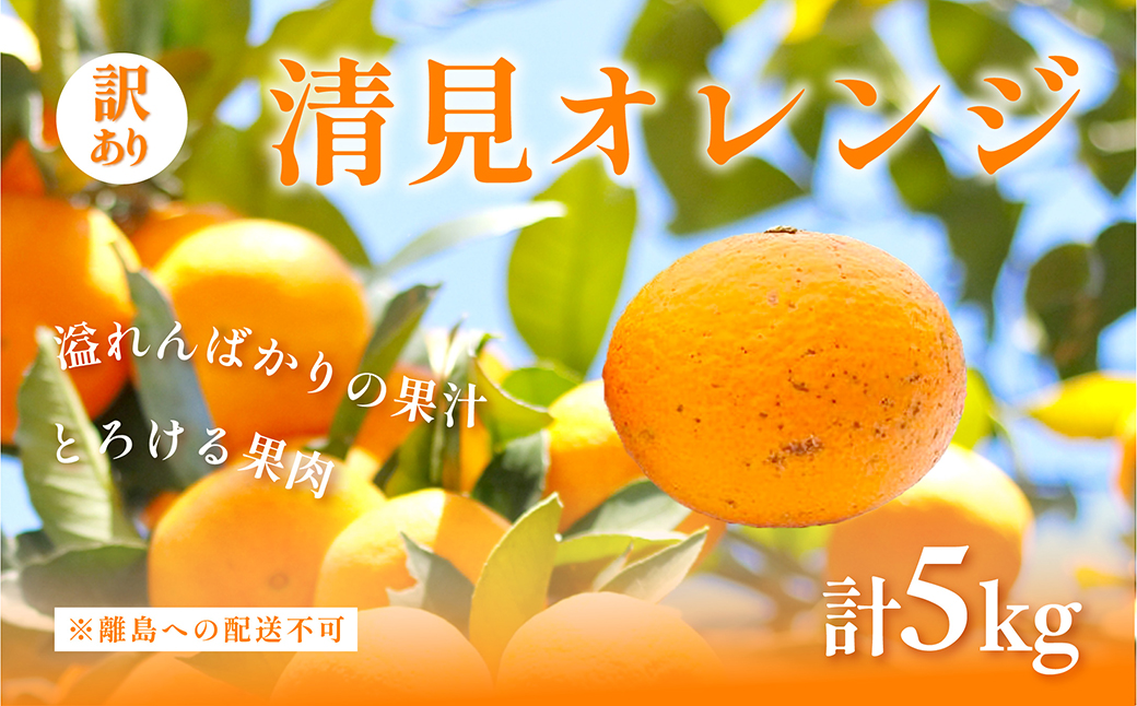 【先行予約】訳あり 清見オレンジ計5kg ※離島への配送不可（2026年3月上旬頃より順次発送予定） IKTAC008