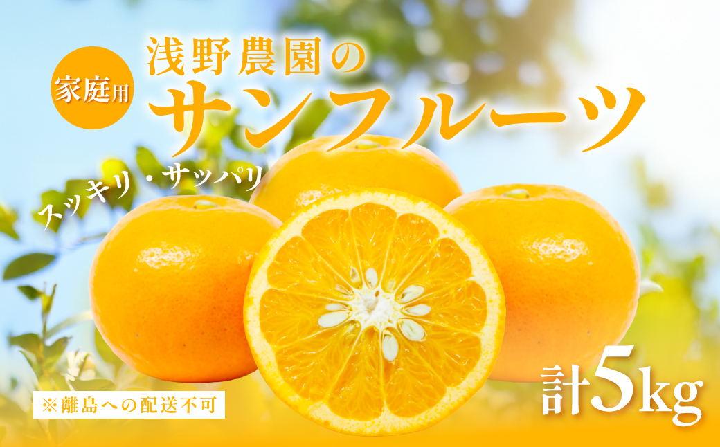 【先行予約】【家庭用】浅野農園のサンフルーツ5kg ※離島への配送不可（2026年3月中旬頃より順次発送予定） IKTAC010