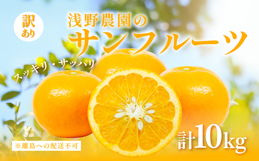 【先行予約】【訳あり】浅野農園のサンフルーツ 10kg ※離島への配送不可（2026年3月中旬頃より順次発送予定）