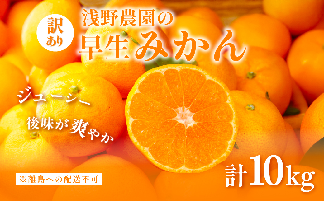 【先行予約】浅野農園の早生みかん 訳あり10kg ※離島への配送不可（2025年11月上旬～11月中旬頃に順次発送予定） IKTAC013