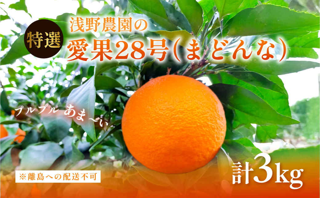 【先行予約】【数量限定】浅野農園の愛果28号（まどんな）特選3kg ※離島への配送不可（2025年12月中旬～2026年1月中旬頃に順次発送予定） IKTAC023