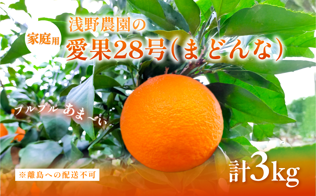 【先行予約】【数量限定】浅野農園の愛果28号（まどんな）家庭用3kg※離島への配送不可（2025年12月中旬～2026年1月中旬頃に順次発送予定） IKTAC024