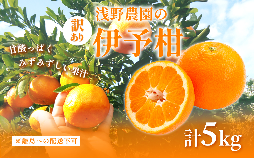 【先行予約】【訳あり】浅野農園の伊予柑 5kg ※離島への配送不可（2026年2月上旬頃より順次発送予定） IKTAC034