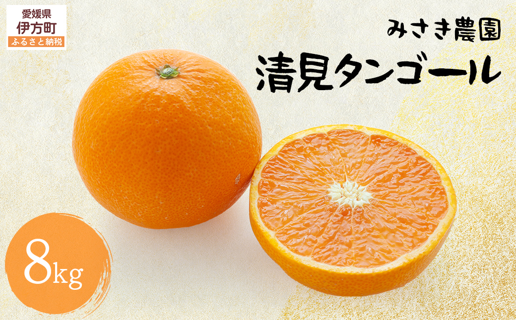 清見タンゴール 8kg ※北海道、沖縄・離島への配送不可（2026年3月中旬ごろから順次発送） IKTAP003
