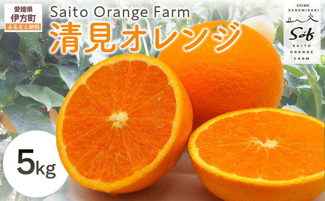 【先行予約】Saito Orange Farmの清見オレンジ5kg（2026年3月中旬頃より順次発送） IKTAQ007