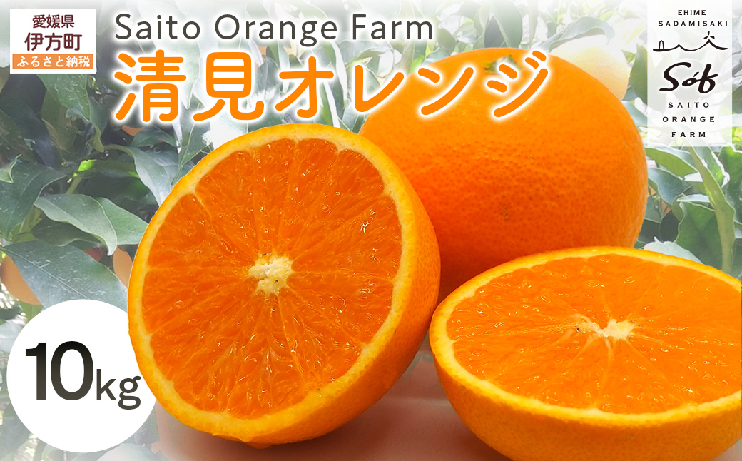 【先行予約】Saito Orange Farmの清見オレンジ10kg（2026年3月中旬頃より順次発送） IKTAQ008
