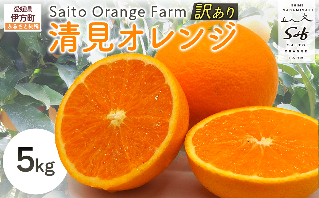 【先行予約】Saito Orange Farmの訳あり清見オレンジ5kg（2026年3月中旬頃より順次発送） IKTAQ009