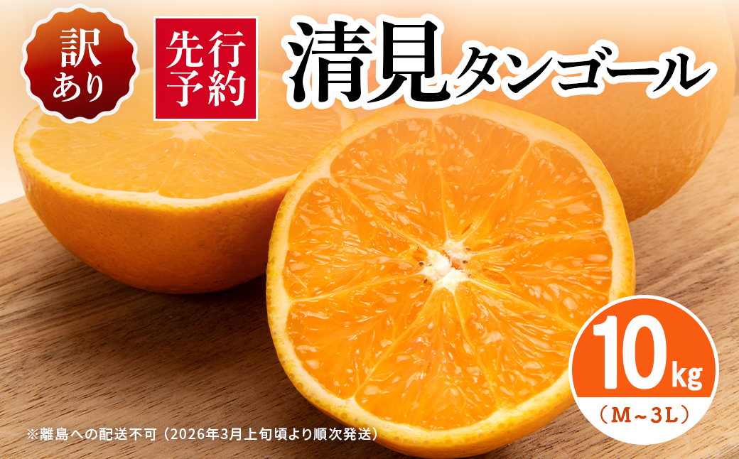 【先行予約】【訳あり】清見タンゴール 10kg（M～3L）※離島への配送不可 （2026年3月上旬頃より順次発送） IKTAR014