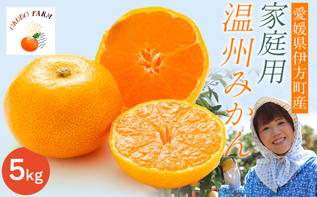 【先行予約】【家庭用】伊予柑 3kg ※北海道・沖縄・離島への配送不可 （2026年1月中旬より順次発送予定） IKTAT004