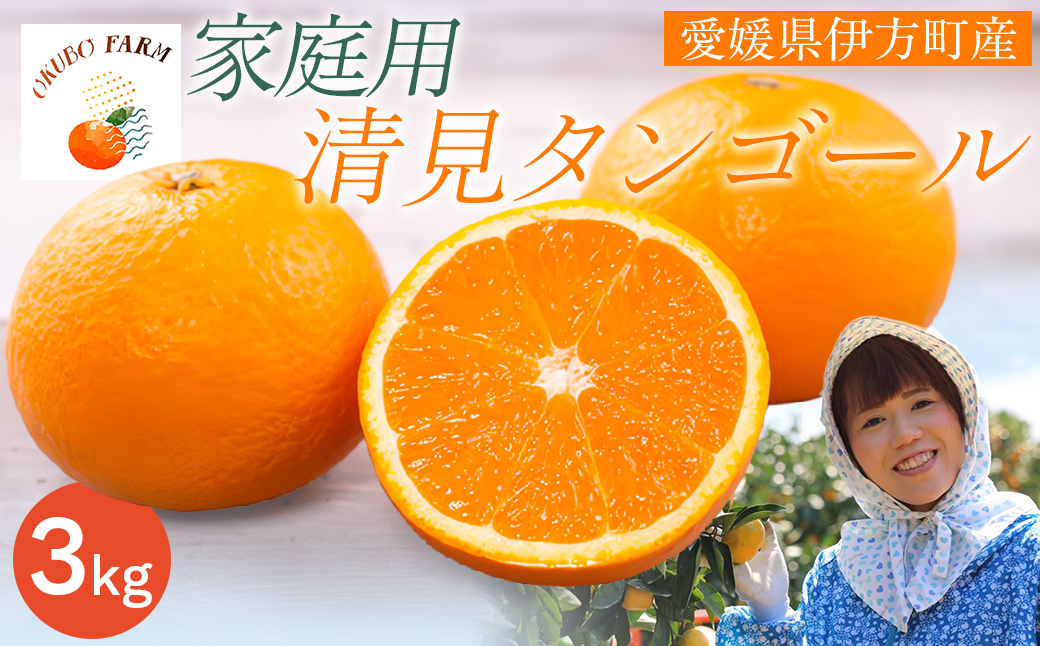 【先行予約】【家庭用】清見タンゴール 3kg ※北海道・沖縄・離島への配送不可（2026年3月中旬より順次発送）  【ふるさと納税 人気 おすすめ ランキング 柑橘 みかん ミカン 清見タンゴール 清見 フルーツ 果物 OKUBO FARM 愛媛県産 家庭用 愛媛県 伊方町 送料無料】 IKTAT005