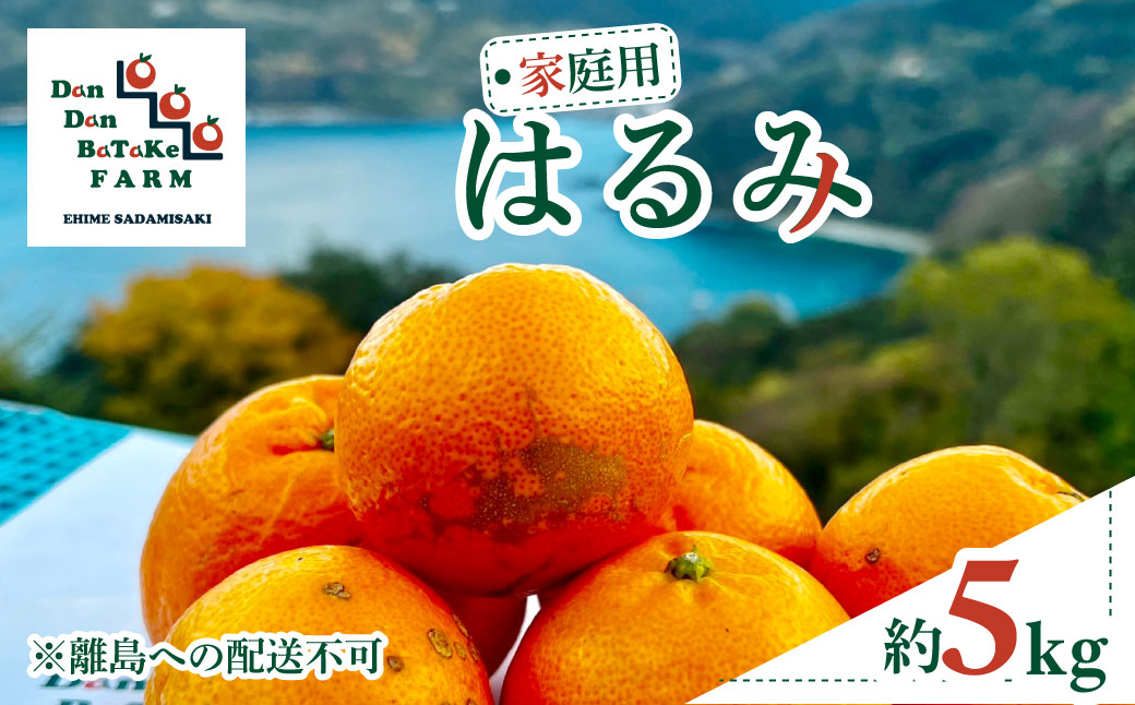 【先行予約】【家庭用】はるみ 約5kg | 柑橘 みかん 果物 フルーツ 愛媛県産 農家直送 　※離島への配送不可　※2026年1月下旬より順次発送予定  IKTAU004