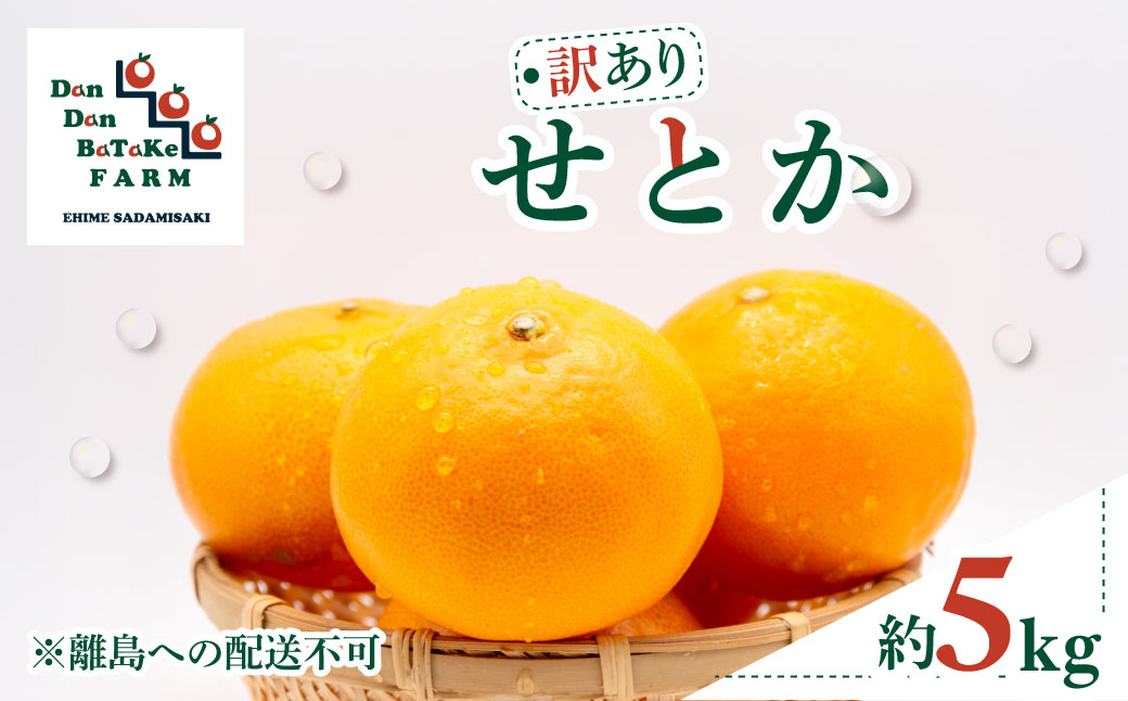 【先行予約】【訳あり】せとか 約5kg | 柑橘 みかん 果物 フルーツ 愛媛県産 農家直送 　※離島への配送不可　※2026年3月上旬より順次発送予定  IKTAU007