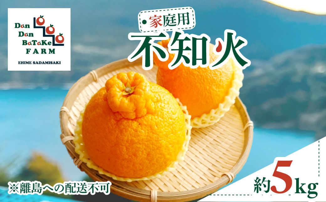 【先行予約】【家庭用】不知火 約5kg | 柑橘 みかん 果物 フルーツ 愛媛県産 農家直送　※離島への配送不可　※2026年2月中旬より順次発送予定  IKTAU008