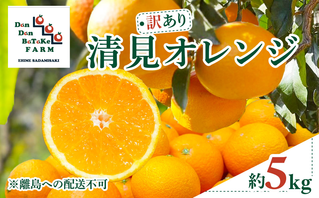 【訳あり】清見オレンジ 約5kg IKTAU015