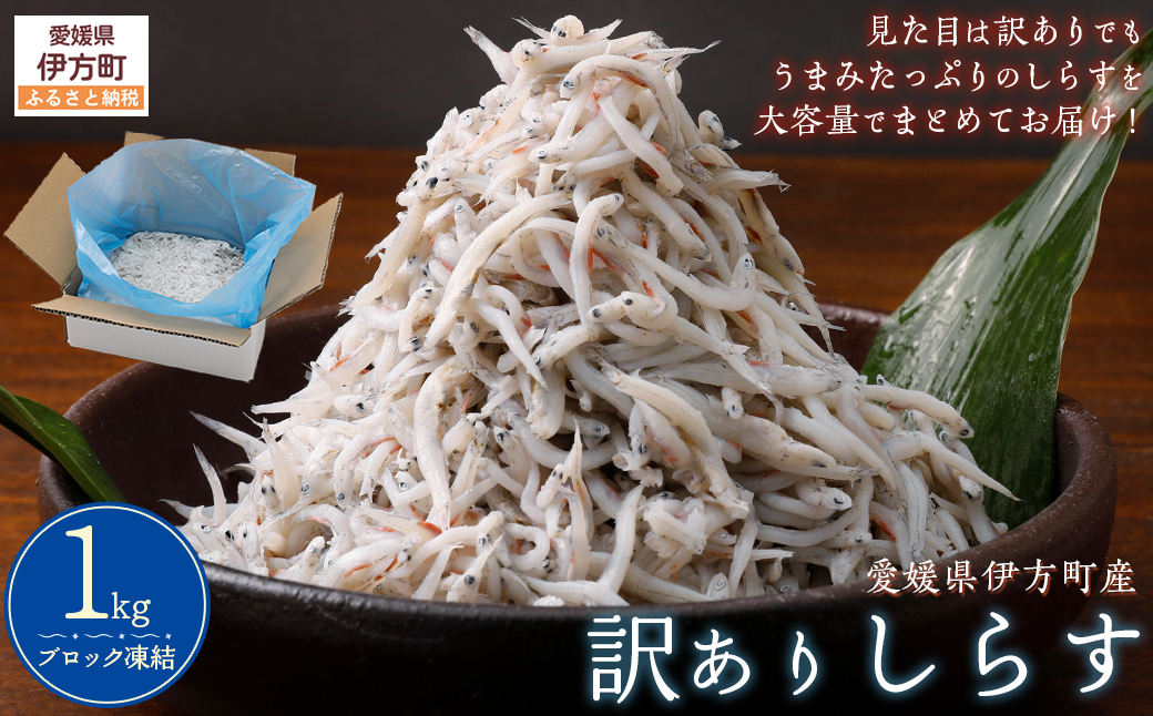 訳ありしらす 1kg IKTB016