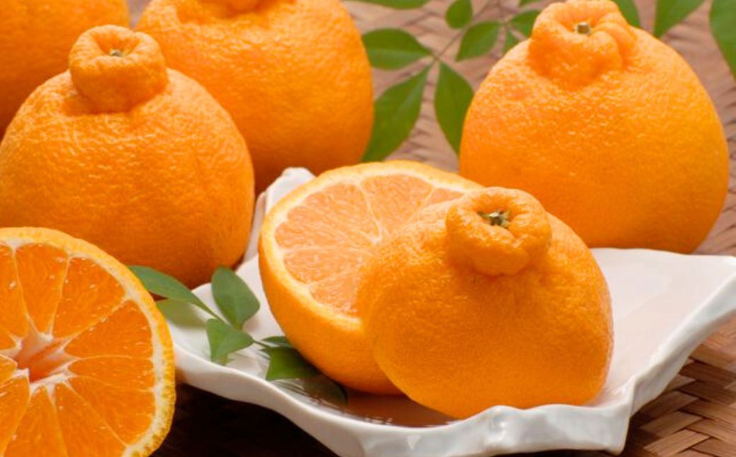 【先行予約】【数量限定】JAにしうわ みつる共選 デコポン 約5kg（化粧箱）※離島への配送不可（2026年2月中旬より順次発送予定） IKTBC008