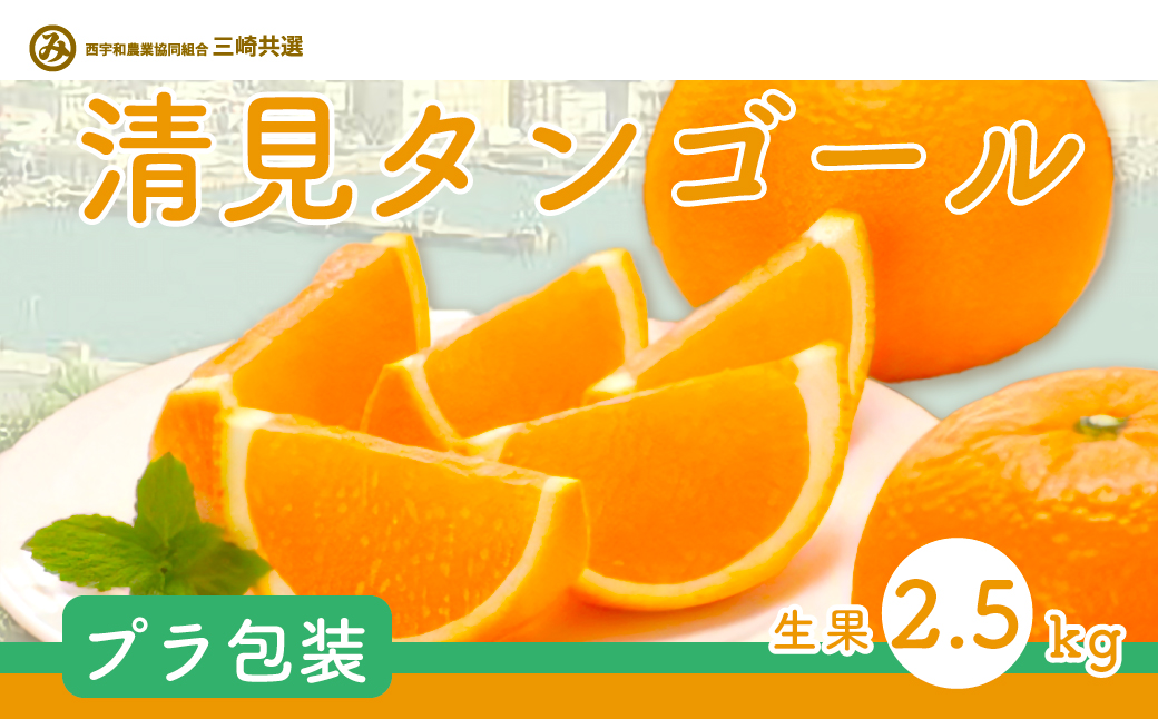 清見タンゴール（Pプラ包装・生果2.5kg）※離島への配送不可 IKTBD006