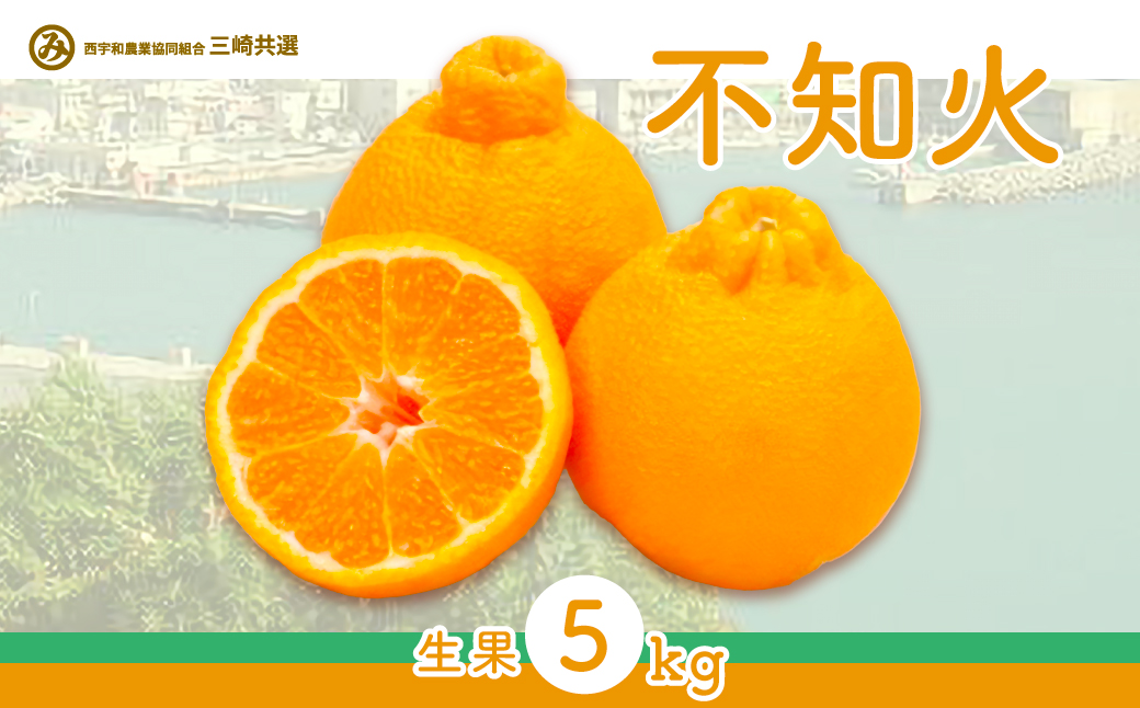 【先行予約】不知火（生果5kg）※離島への配送不可（2026年2月上旬より順次発送予定） IKTBD011