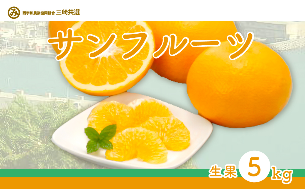 【先行予約】サンフルーツ（生果3kg）※離島への配送不可（2026年2月上旬より順次発送） IKTBD012