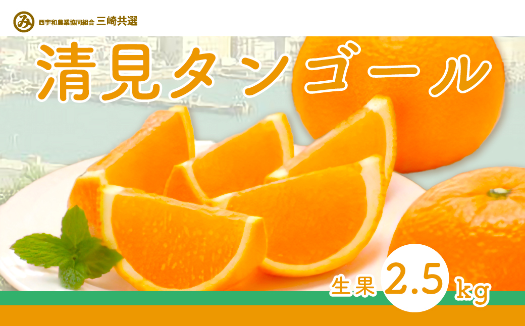 【先行予約】清見タンゴール（生果2.5kg）※離島への配送不可（2026年3月上旬より順次発送予定） IKTBD014