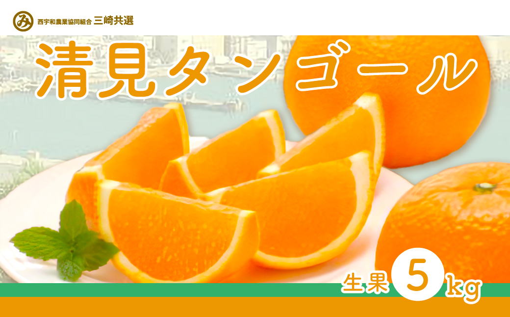 【先行予約】清見タンゴール（生果5kg）※離島への配送不可（2026年3月上旬より順次発送予定） IKTBD015