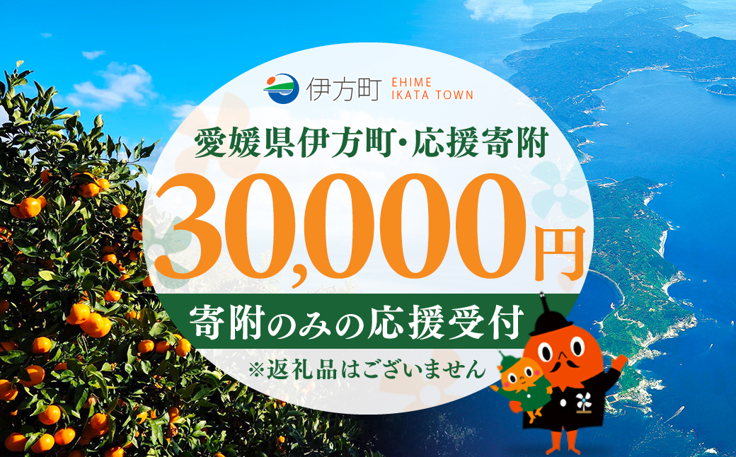 【返礼品なし】愛媛県伊方町・応援寄附30,000円（寄附のみの応援受付 ※返礼品はございません）  IKTBG004