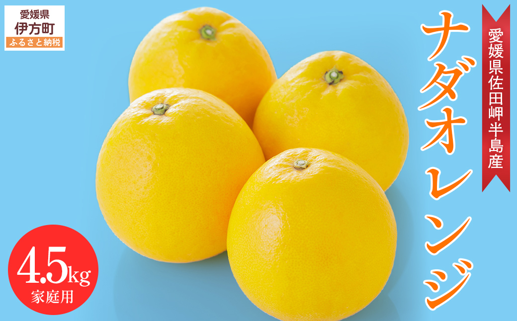 【農家直送】愛媛県産 ナダオレンジ 家庭用 4.5kg（2026年5月中旬より順次発送予定） IKTC006