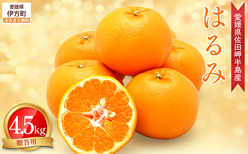 【先行予約】【農家直送】愛媛県産 はるみ 贈答用 4.5kg（2026年1月中旬～2月上旬頃発送予定） IKTC009