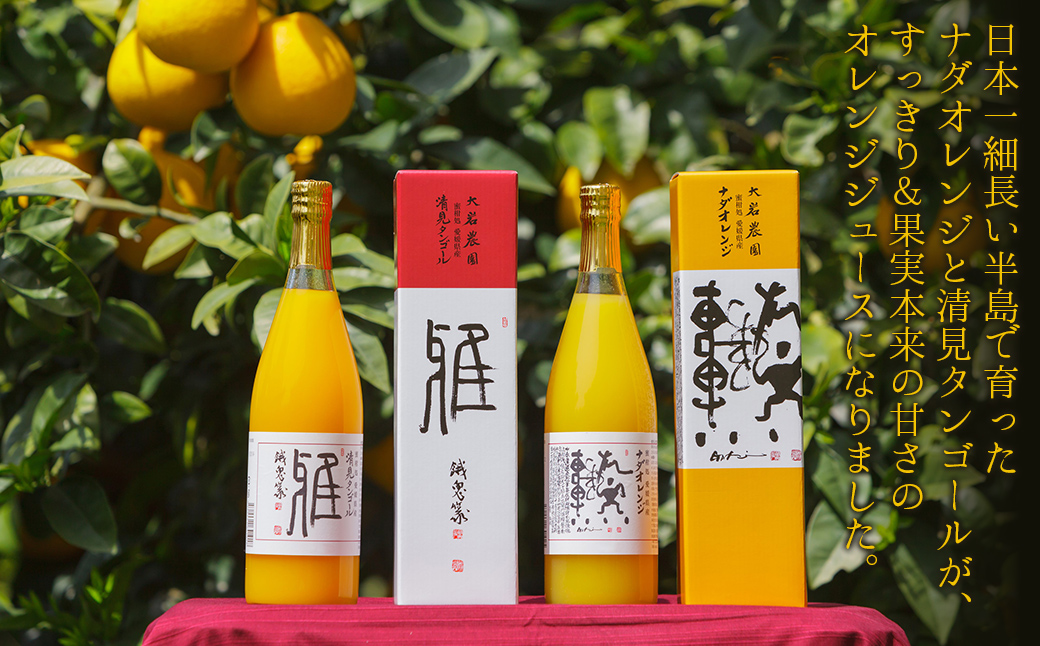 愛媛県産 果汁100％みかんジュース2本入りセット（清見・ナダオレンジ） IKTC011