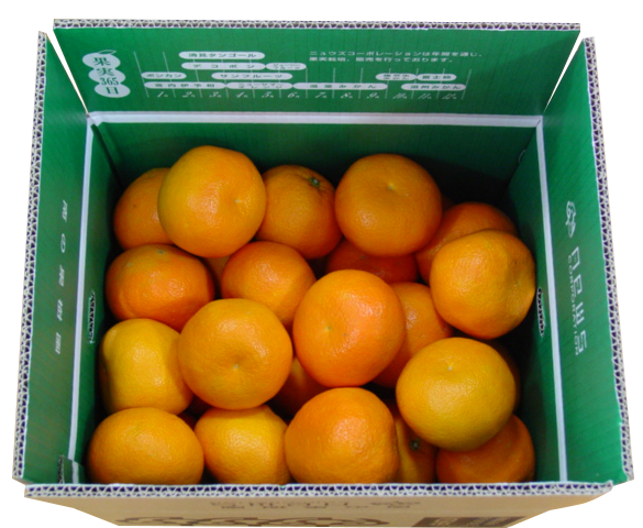 【先行予約】産地直送！愛媛県産いよかん 5kg（2026年1月中旬から発送予定）  IKTF004