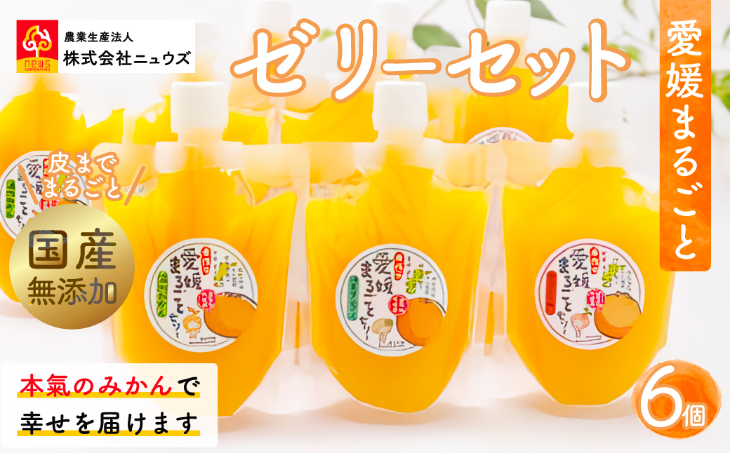 【皮までまるごと国産無添加】愛媛まるごとゼリーセット（6個） IKTF011