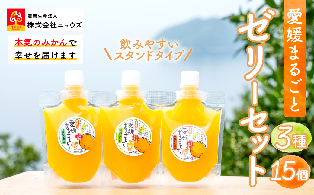 飲みやすいスタンドタイプ 愛媛まるごとゼリー 3種15個 ※離島への配送不可  IKTF027