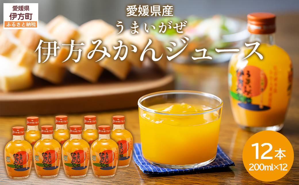 【先行予約】【愛媛県産】うまいがぜ伊方みかんジュース（200ml×12本） ストレート果汁100％ （2025年12月より順次発送）  IKTI006