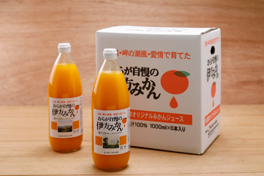【先行予約】【愛媛県産】おらが自慢の伊方みかんジュース（1000ml×6本）ストレート果汁100％（2025年12月より順次発送）  IKTI008