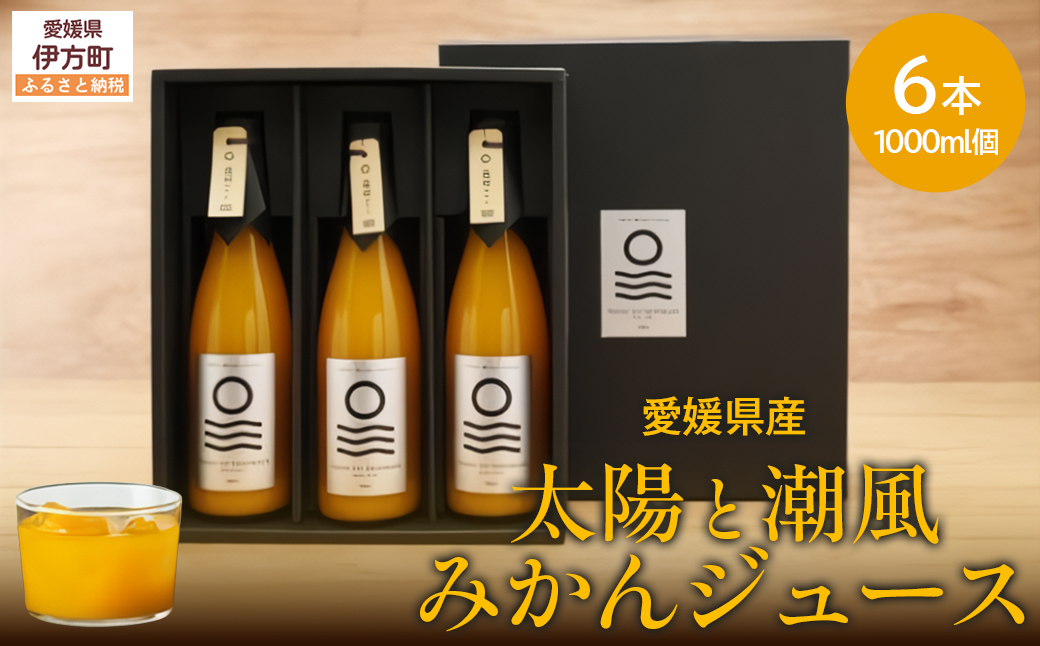 【先行予約】【愛媛県産】太陽と潮風みかんジュース（720ml×3本） 果汁100％（2025年12月より発送予定） IKTI010